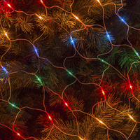 Buy canvas prints of Outside Christmas Lights 2013 by colin chalkley