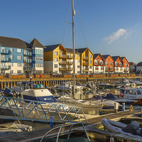 Buy canvas prints of Exmouth Harbour by colin chalkley