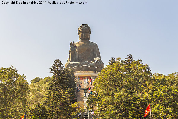 Tian Tan Buddha - Lantau Island Picture Board by colin chalkley