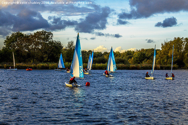 Sailing in Dinton Pastures Picture Board by colin chalkley