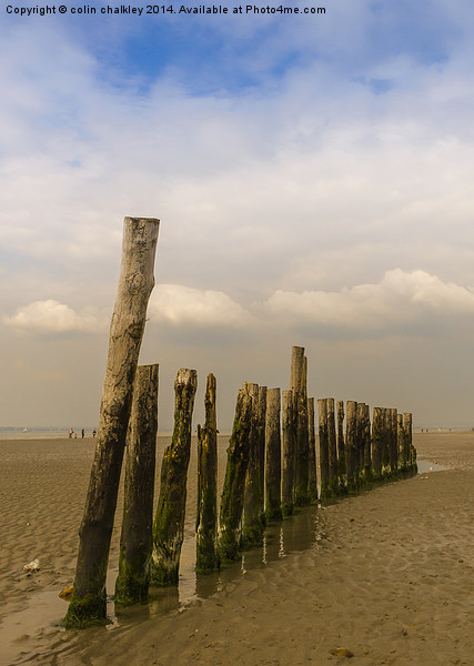 Mid Beach Breakwater at West Wittering Picture Board by colin chalkley