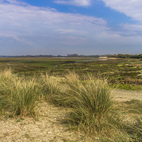 Buy canvas prints of A view across the salt marsh by colin chalkley