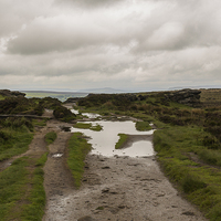 Buy canvas prints of A Gloomy Day on Curbar Edge by colin chalkley