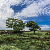 Buy canvas prints of Derbyshire Countryside by colin chalkley