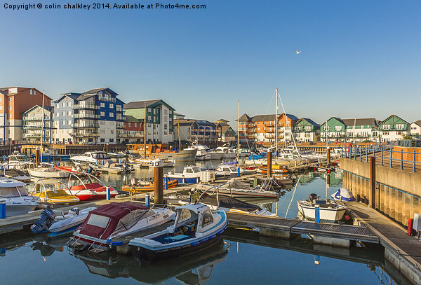 Exmouth Harbour and Marina in Devon Picture Board by colin chalkley