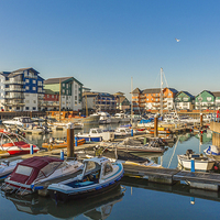 Buy canvas prints of Exmouth Harbour and Marina in Devon by colin chalkley