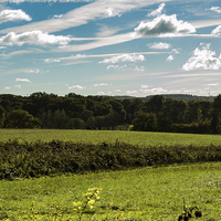 Buy canvas prints of  Chilterns Countryside by colin chalkley