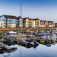 Buy canvas prints of Exmouth Harbour  by colin chalkley