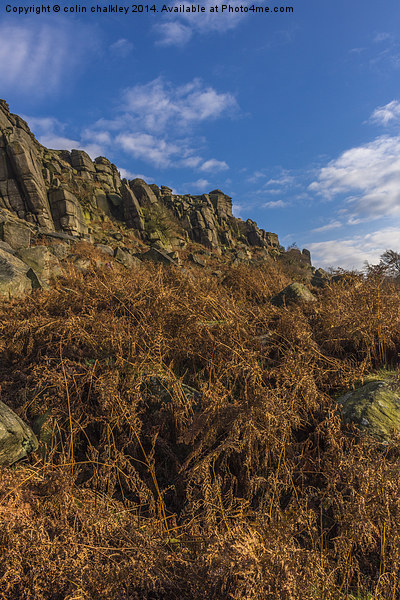 Stanage Edge in Debyshire Picture Board by colin chalkley
