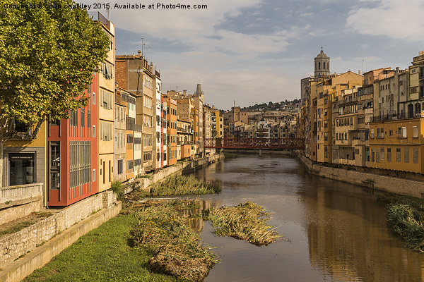  View Down the River Onyar in Girona Picture Board by colin chalkley
