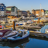 Buy canvas prints of Exmouth Harbour by colin chalkley