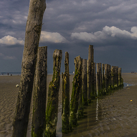 Buy canvas prints of Breakwater at West Wittering  by colin chalkley