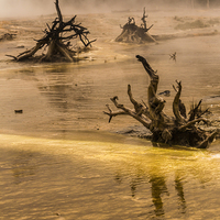 Buy canvas prints of  Ethereal Landscape in Yellowstone National Park by colin chalkley