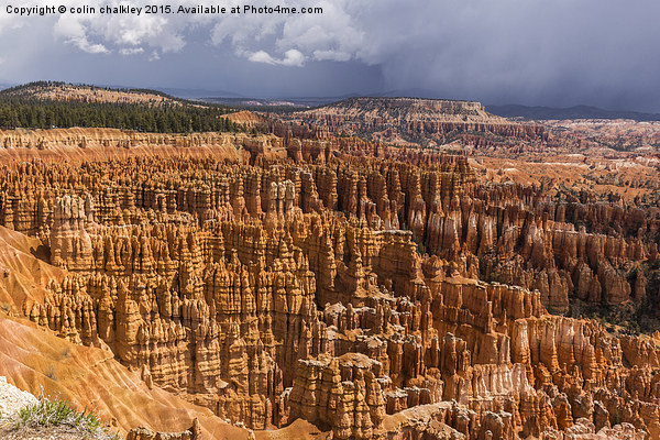  Bryce Canyon National Park Picture Board by colin chalkley