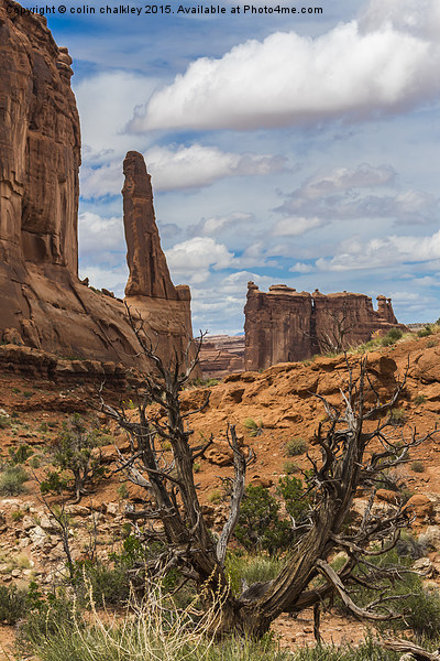  Barren Landscape in Arches National Park Picture Board by colin chalkley