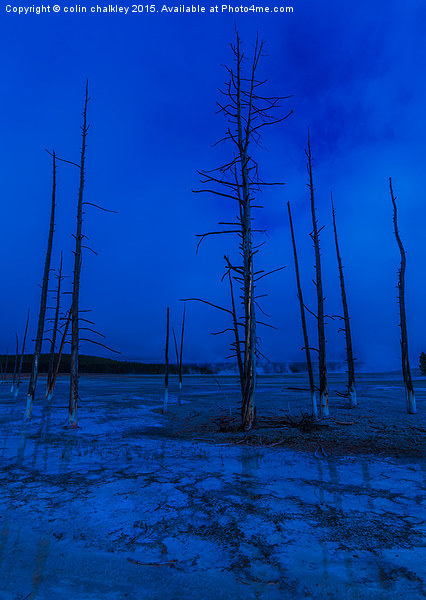 Ethereal Landscape in Yellowstone National Park Picture Board by colin chalkley