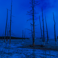 Buy canvas prints of Ethereal Landscape in Yellowstone National Park by colin chalkley