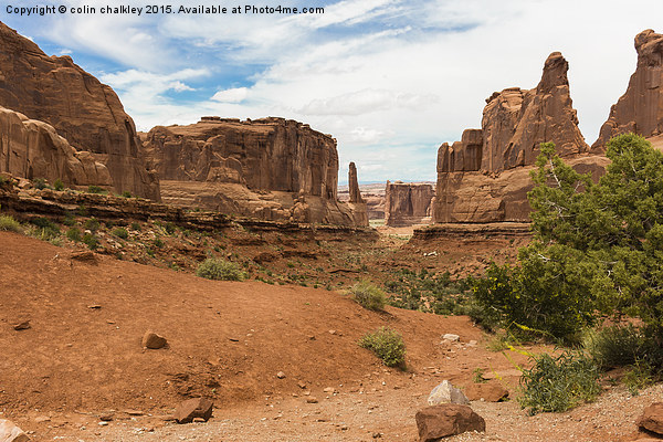  Landscape in Arches National Park Picture Board by colin chalkley