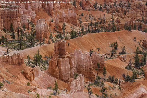  Bryce Canyon Picture Board by colin chalkley