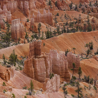 Buy canvas prints of  Bryce Canyon by colin chalkley