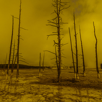 Buy canvas prints of Ethereal Landscape in Yellowstone Park by colin chalkley