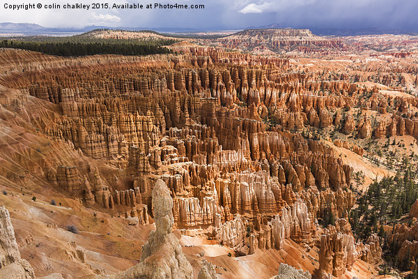  Bryce Canyon Park Hoodoos Picture Board by colin chalkley