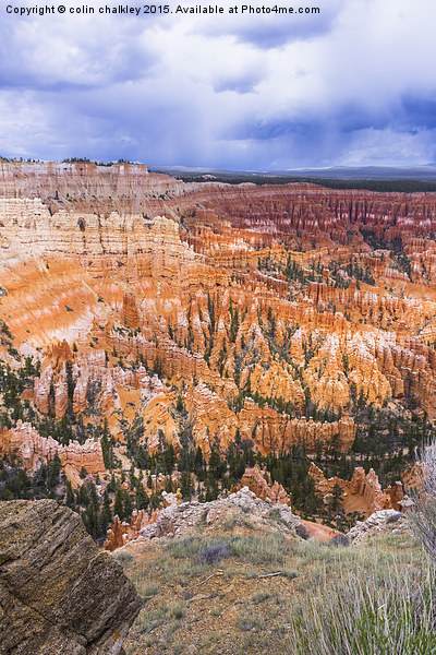  Bryce Canyon  Picture Board by colin chalkley