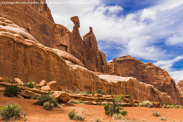 Landscape in Arches National Park, USA Picture Board by colin chalkley