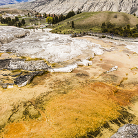 Buy canvas prints of  Minerva Terrace - Yellowstone Park by colin chalkley