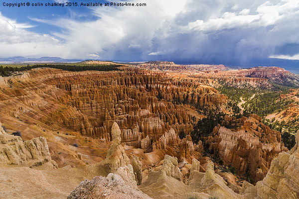 Bryce Canyon Hoodoos - USA Picture Board by colin chalkley