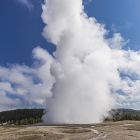 Buy canvas prints of Old Faithful in Yellowstone Park by colin chalkley