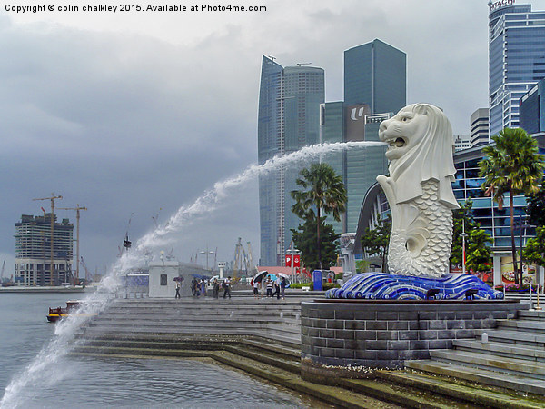  The Merlion of Singapore City Picture Board by colin chalkley