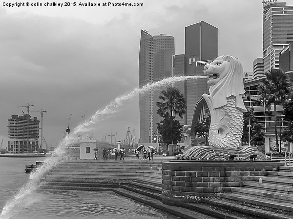 Merlion of Singapore City Picture Board by colin chalkley