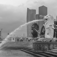 Buy canvas prints of Merlion of Singapore City by colin chalkley