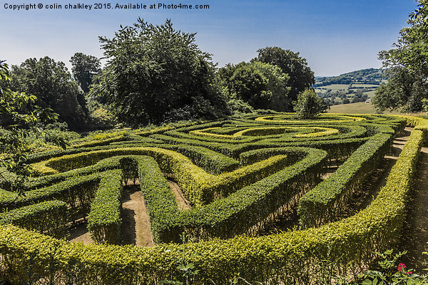  Painswick Rococo Garden Maze Picture Board by colin chalkley
