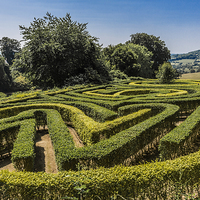 Buy canvas prints of  Painswick Rococo Garden Maze by colin chalkley