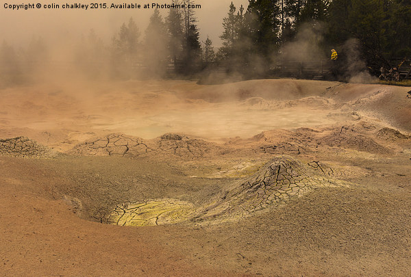  Fountain Paint Pots - Yellowstone National Park Picture Board by colin chalkley