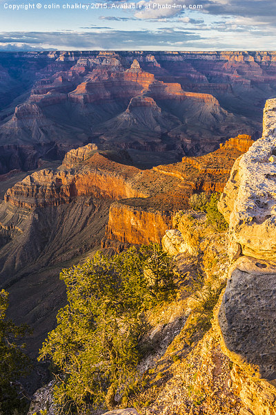 Sunset in the Grand Canyon - Southern Rim Picture Board by colin chalkley