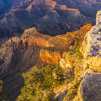 Buy canvas prints of Sunset in the Grand Canyon - Southern Rim by colin chalkley