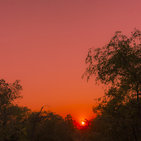 Buy canvas prints of  African Sunrise by colin chalkley