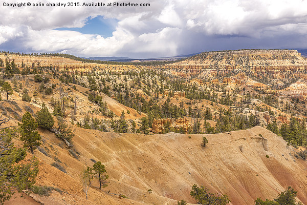  Bryce Canyon Hoodoos - USA Picture Board by colin chalkley