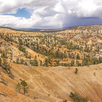 Buy canvas prints of  Bryce Canyon Hoodoos - USA by colin chalkley