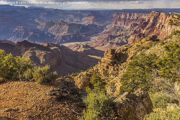  Sunset in the Grand Canyon - Southern Rim Picture Board by colin chalkley