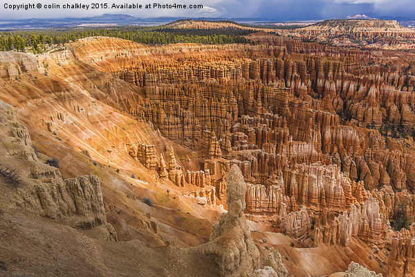  Bryce Canyon Hoodoos - USA Picture Board by colin chalkley