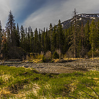 Buy canvas prints of Yellowstone Landscape by colin chalkley