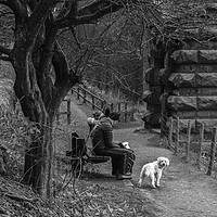 Buy canvas prints of Max at Ladybower by colin chalkley
