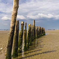Buy canvas prints of Mid Beach Breakwater at West Wittering by colin chalkley