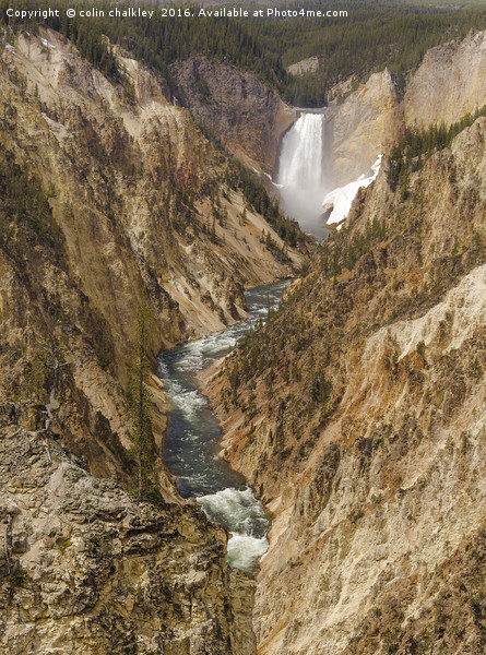 Yellowstone National Park - Lower Falls Picture Board by colin chalkley