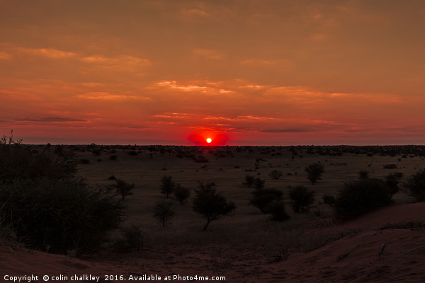 Sunset in Etosha National Park Picture Board by colin chalkley