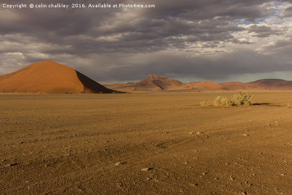 Sossusvlie Sand Dunes, Namib Desert Picture Board by colin chalkley